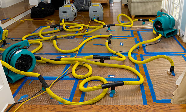 Professional Basement Flood Cleanup technician working in Plantersville, MS